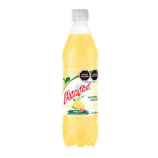 [RPEÑP600] Peñafiel Piñada Pet 600 ml 1x12pz